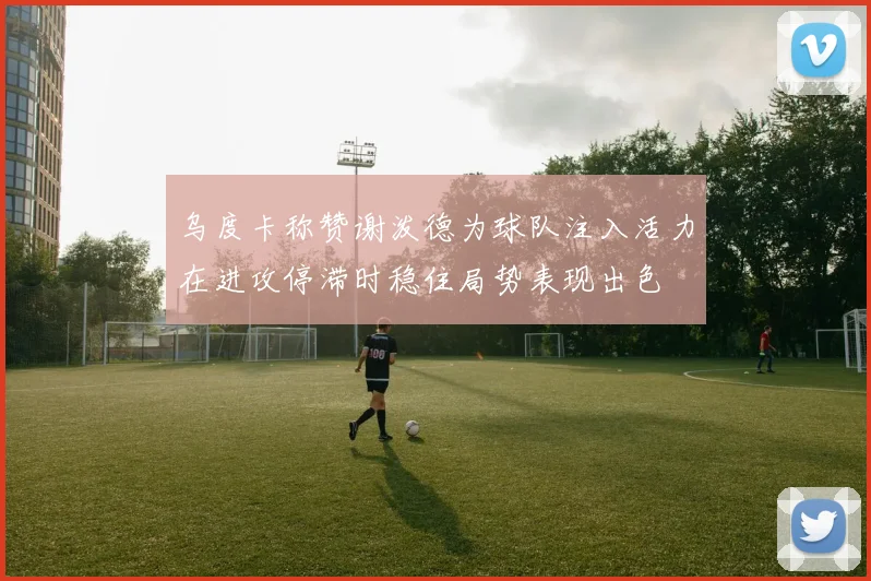 乌度卡称赞谢泼德为球队注入活力在进攻停滞时稳住局势表现出色