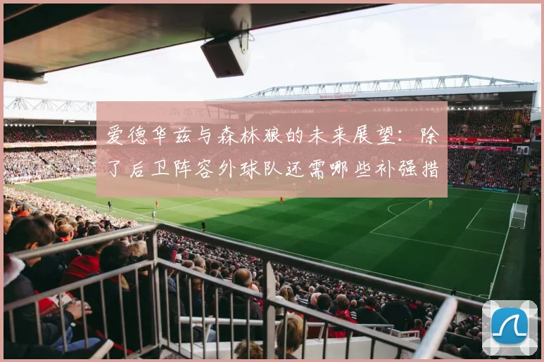 爱德华兹与森林狼的未来展望：除了后卫阵容外球队还需哪些补强措施