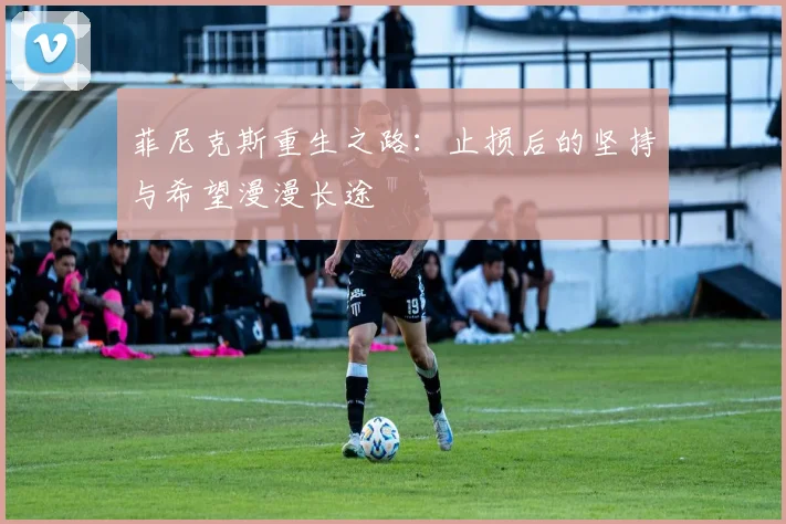 菲尼克斯重生之路：止损后的坚持与希望漫漫长途